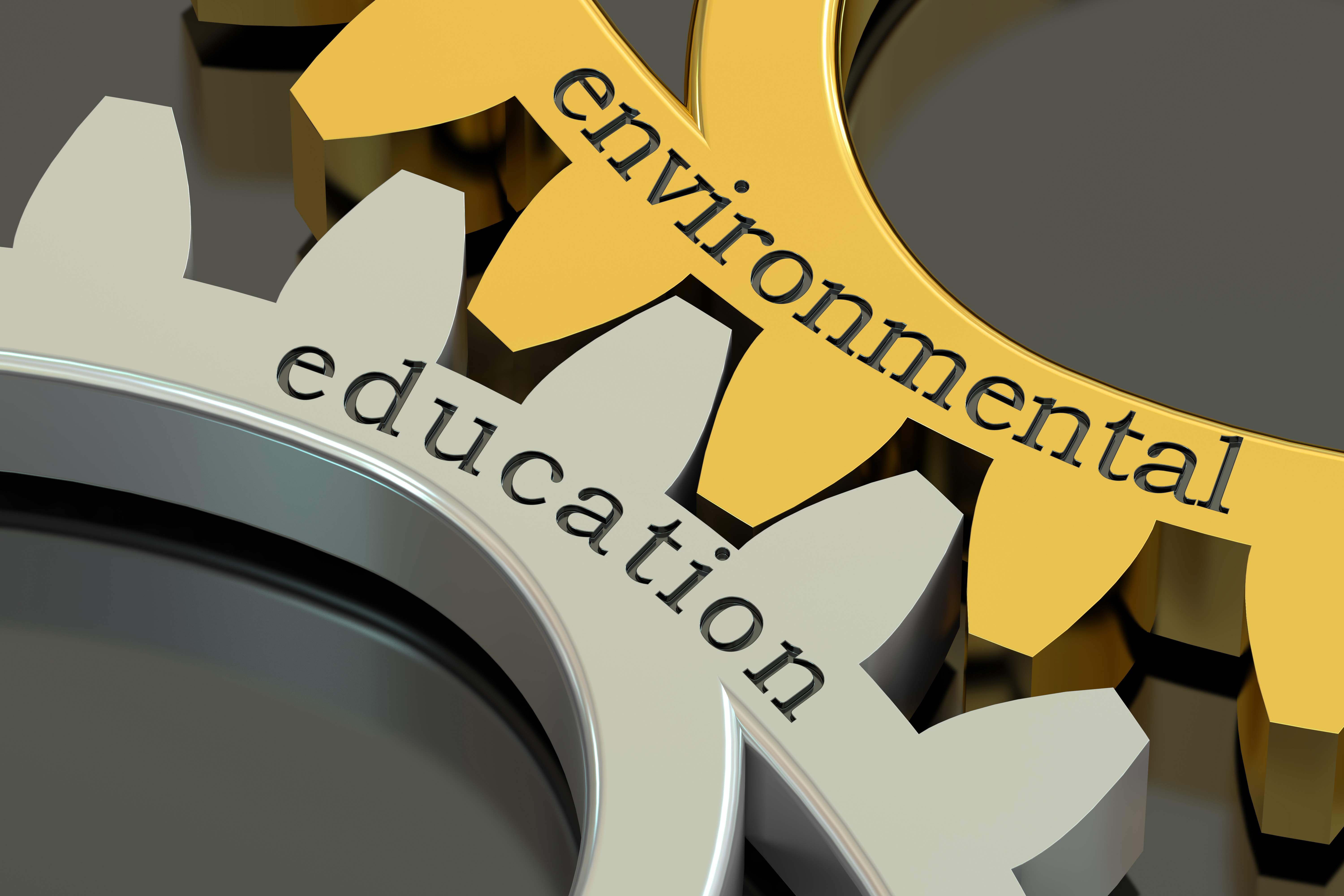 educacion-ambiental.jpg