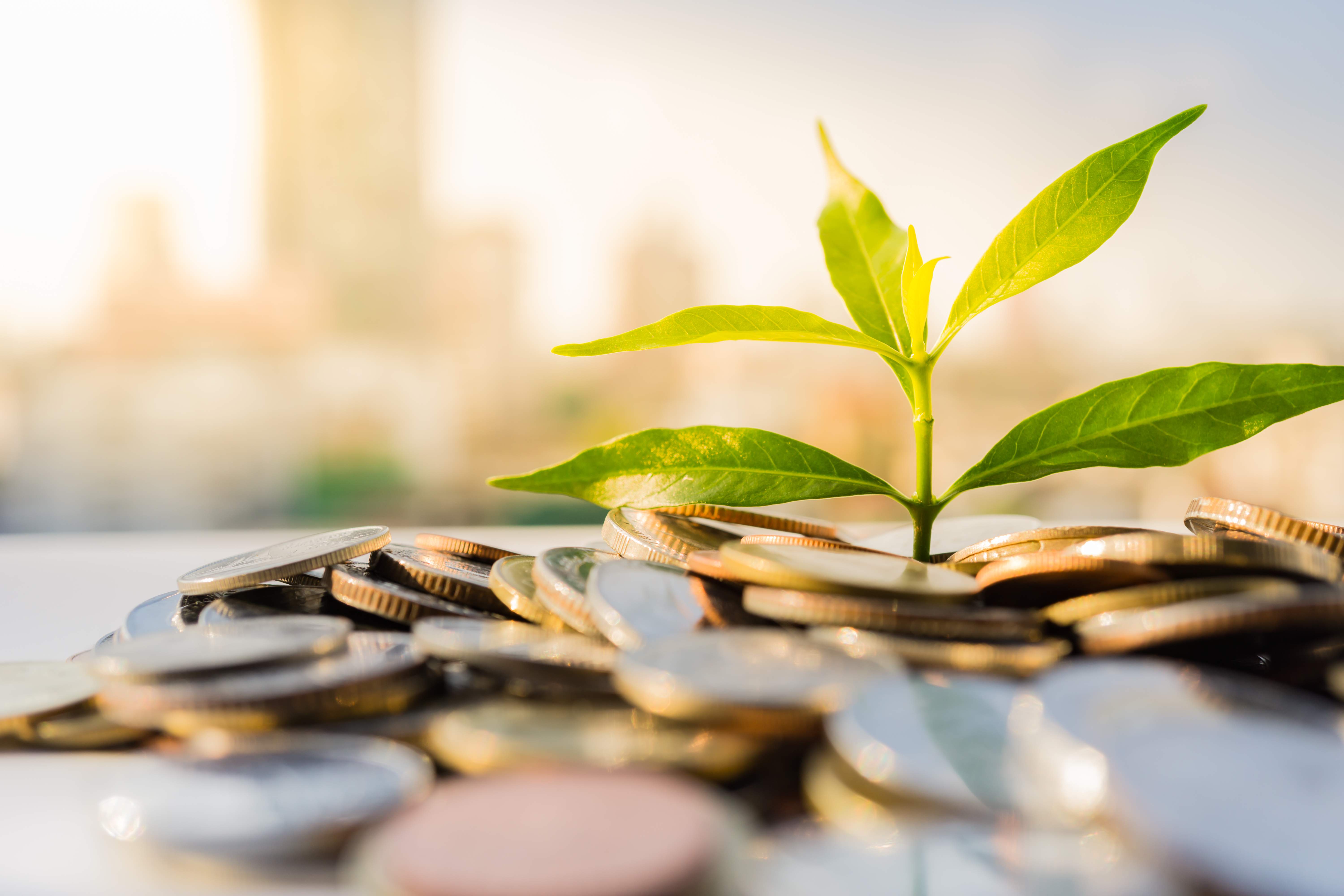 dinero-brotes-istock.jpg