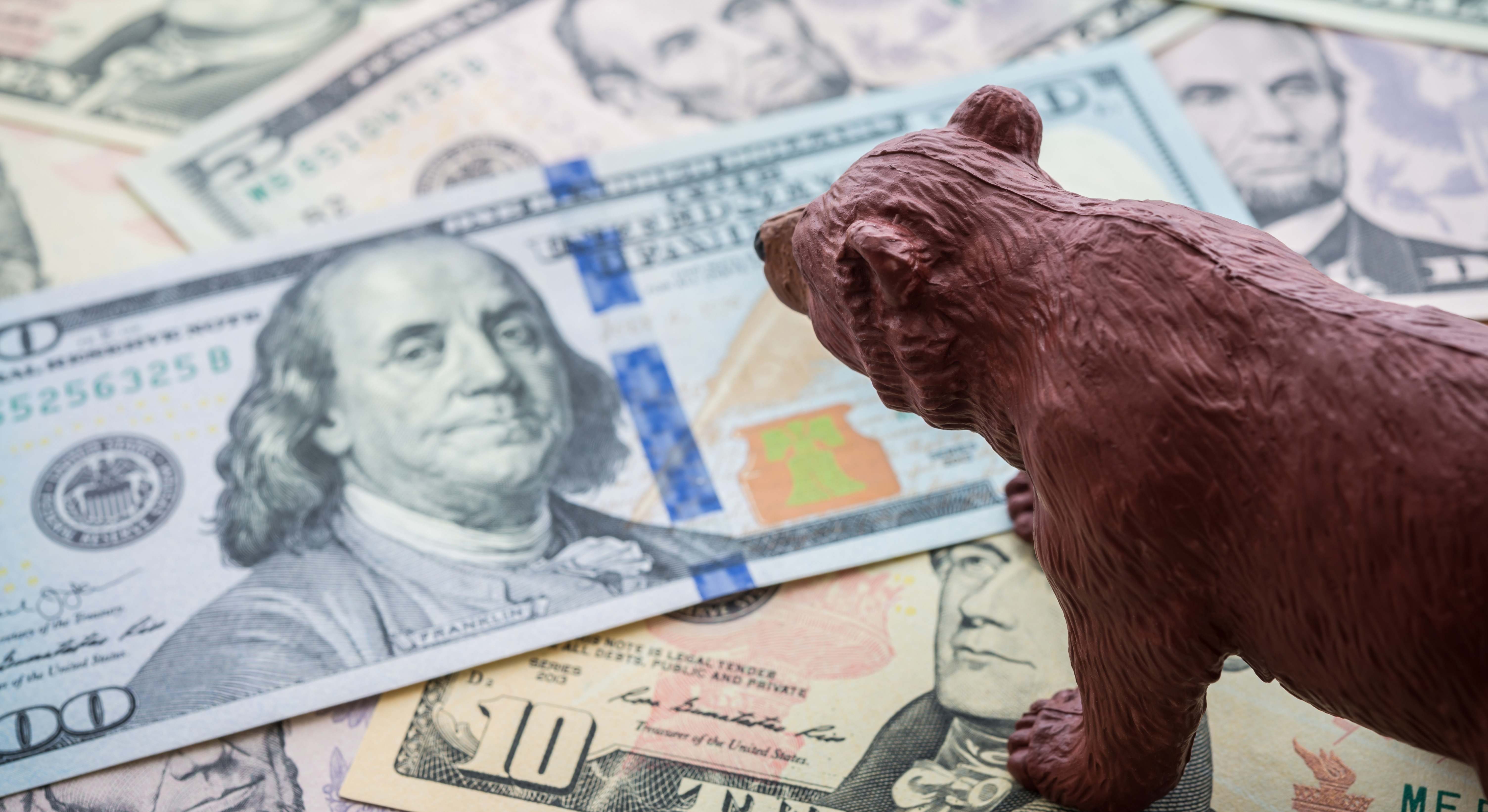 Un oso sobre dólares