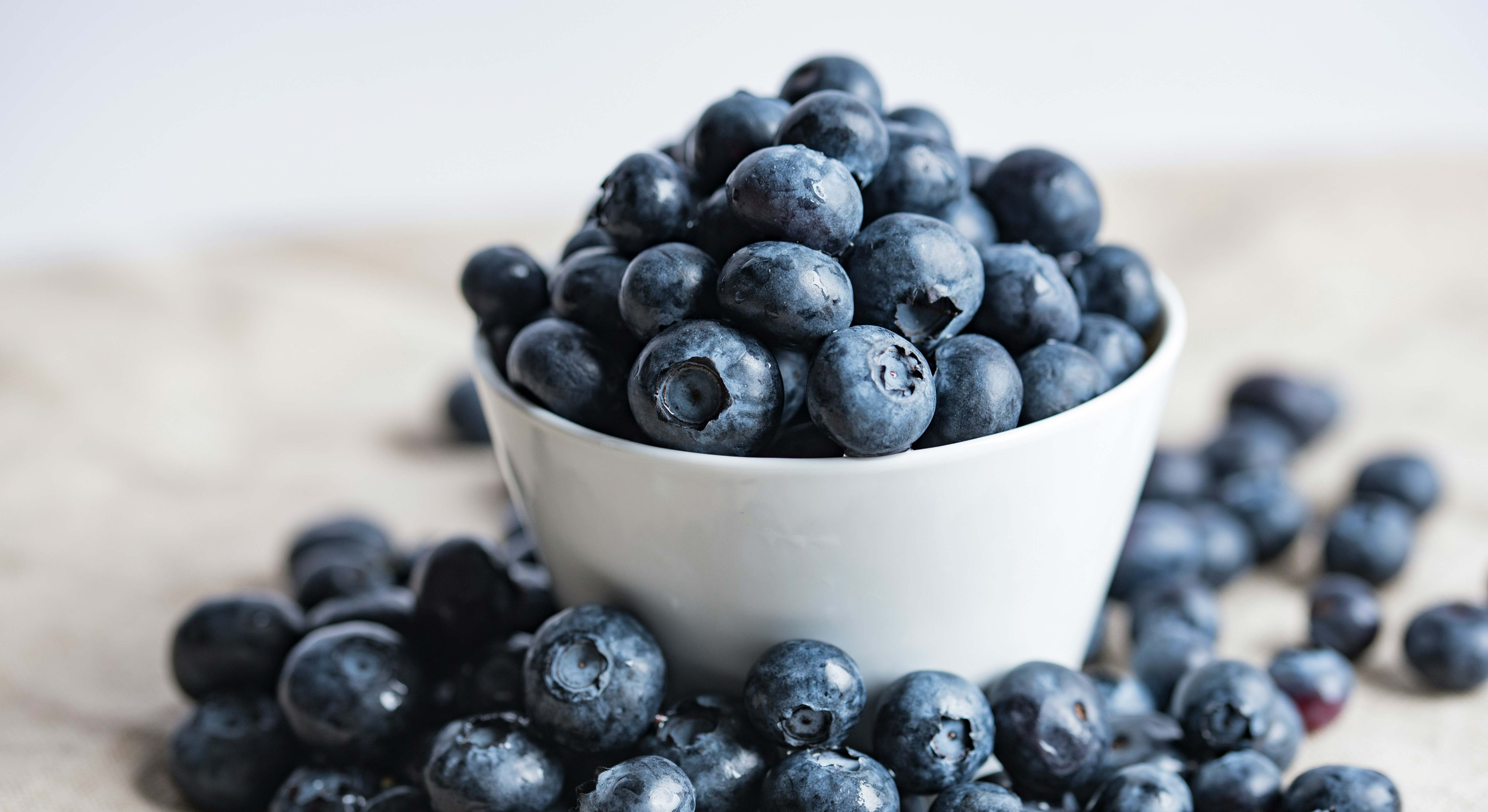 Los arándanos son una excelente fuente de fibra dietética