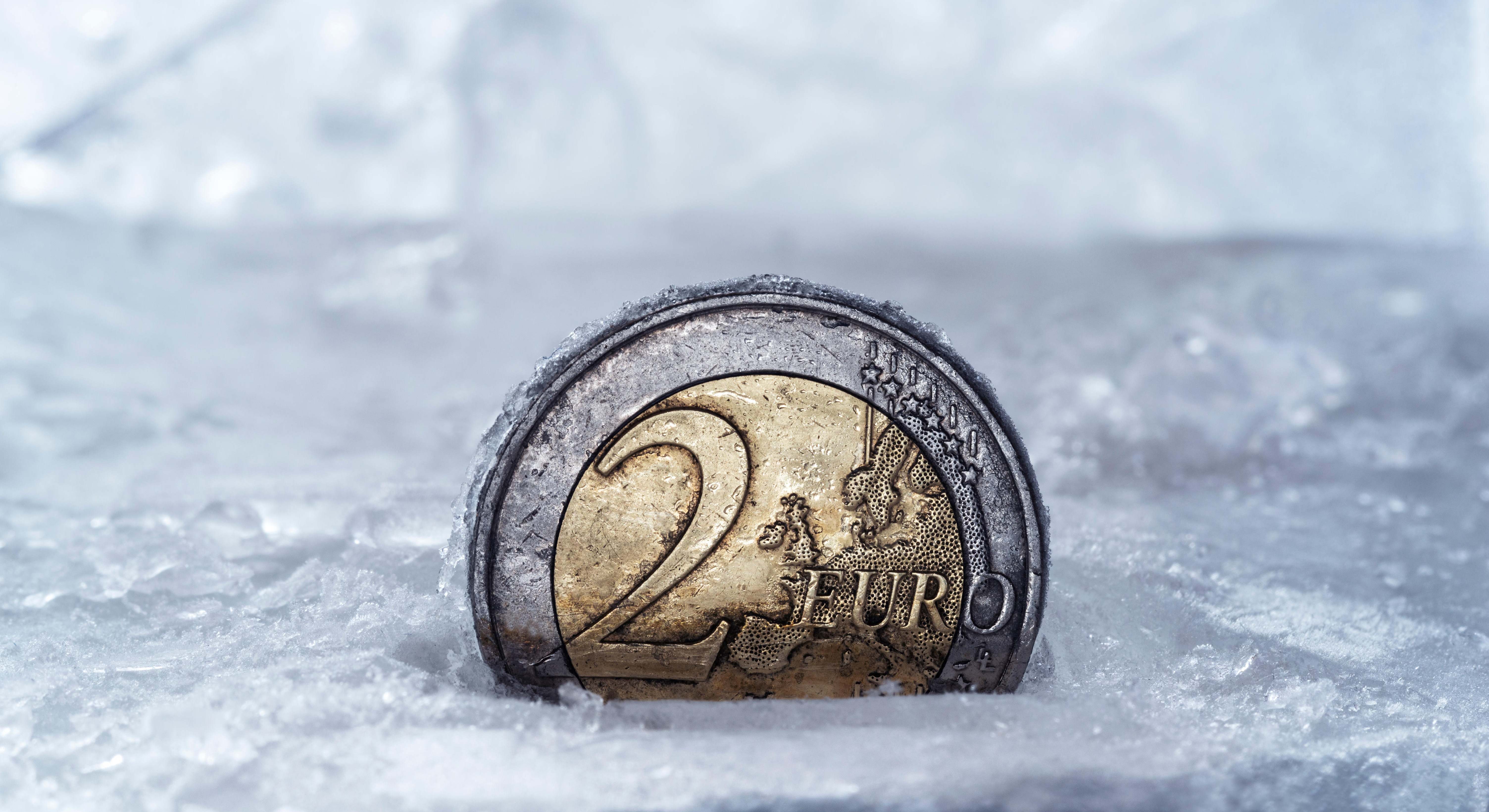 Euro congelado