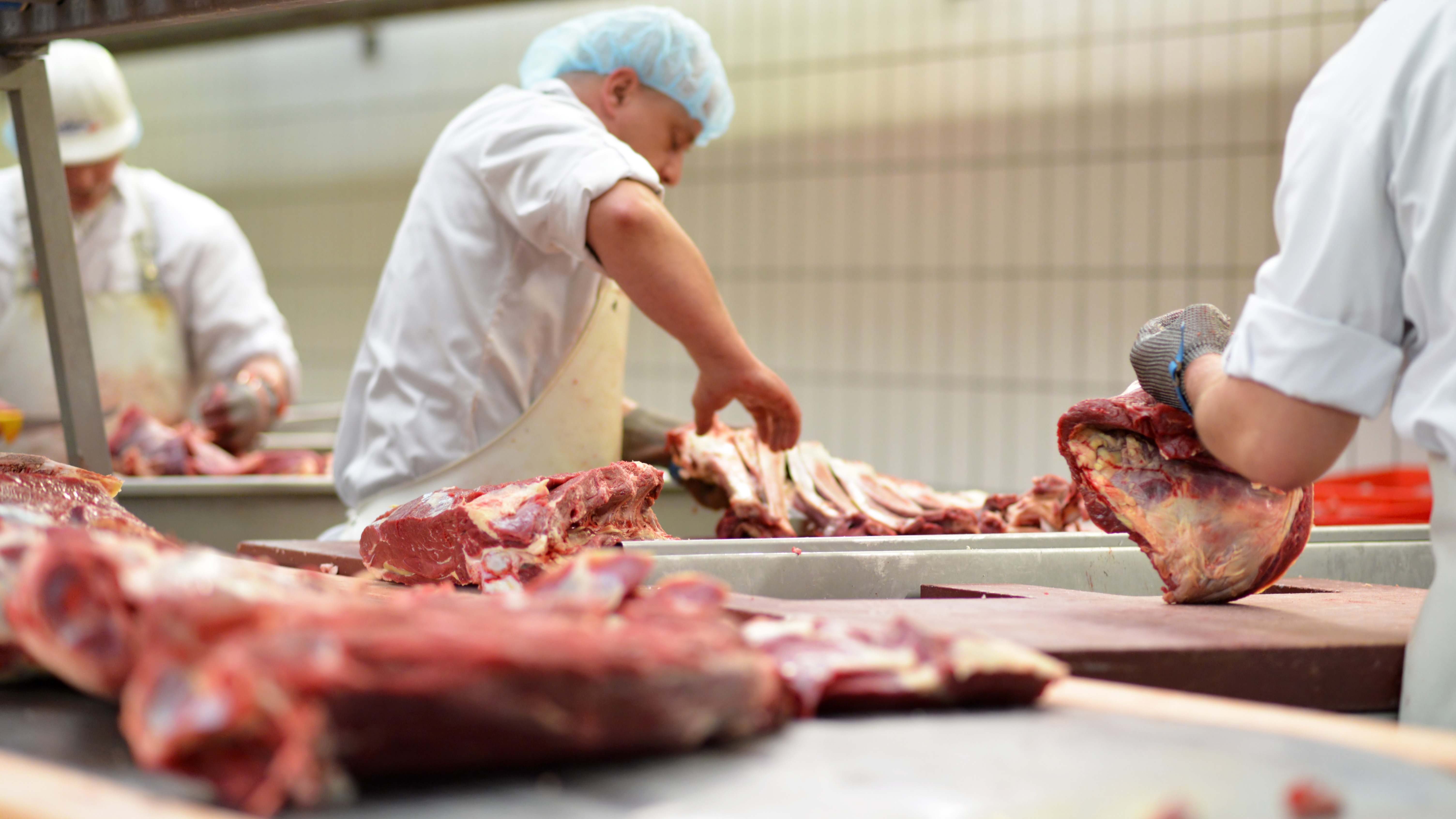 Industria alimentaria carne