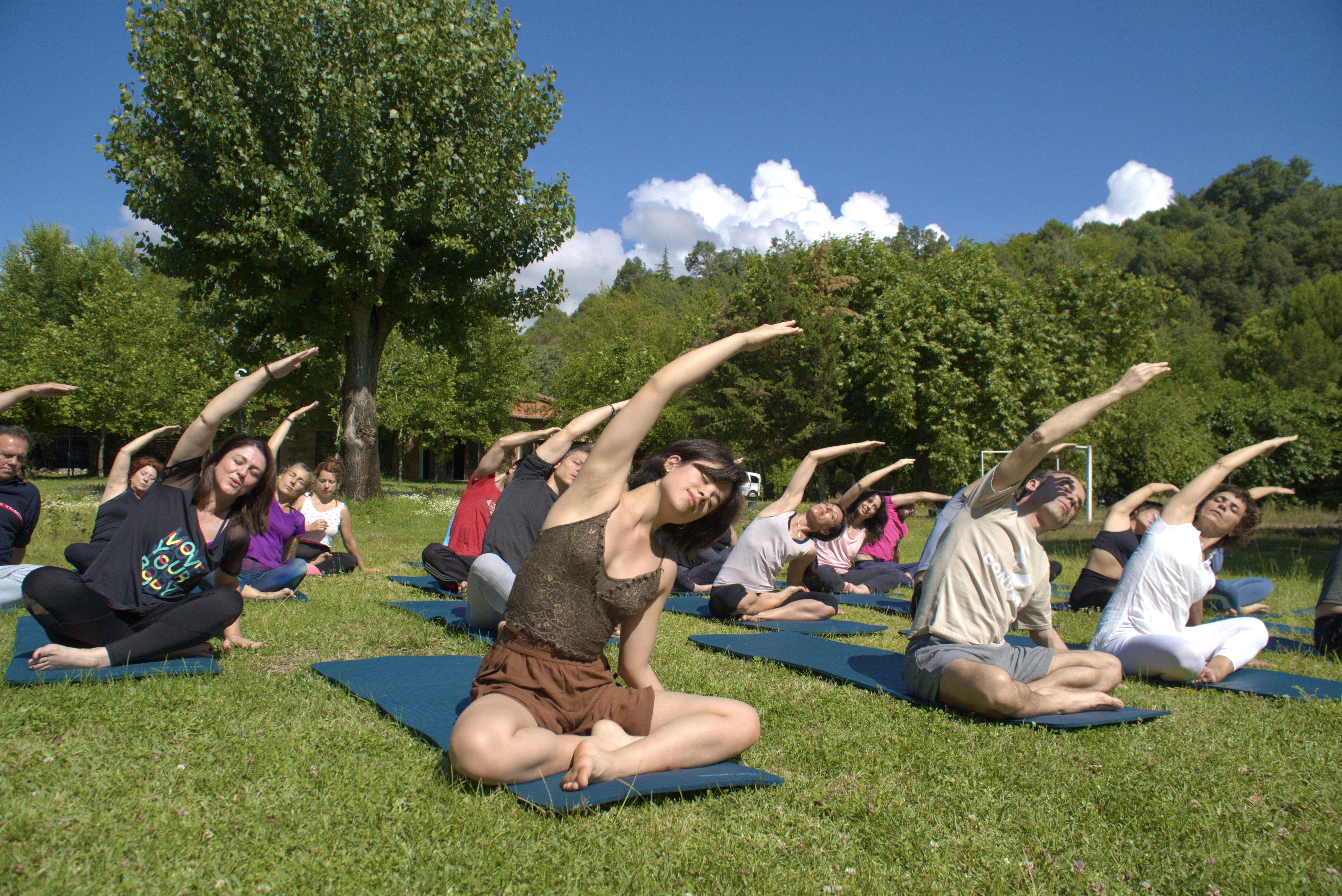 Un grupo practicando yoga en Mundo Consciente