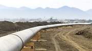 La regulación debe incentivar los gases renovables para abaratar la transición energética