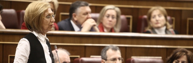 rosa-diez-congreso.jpg