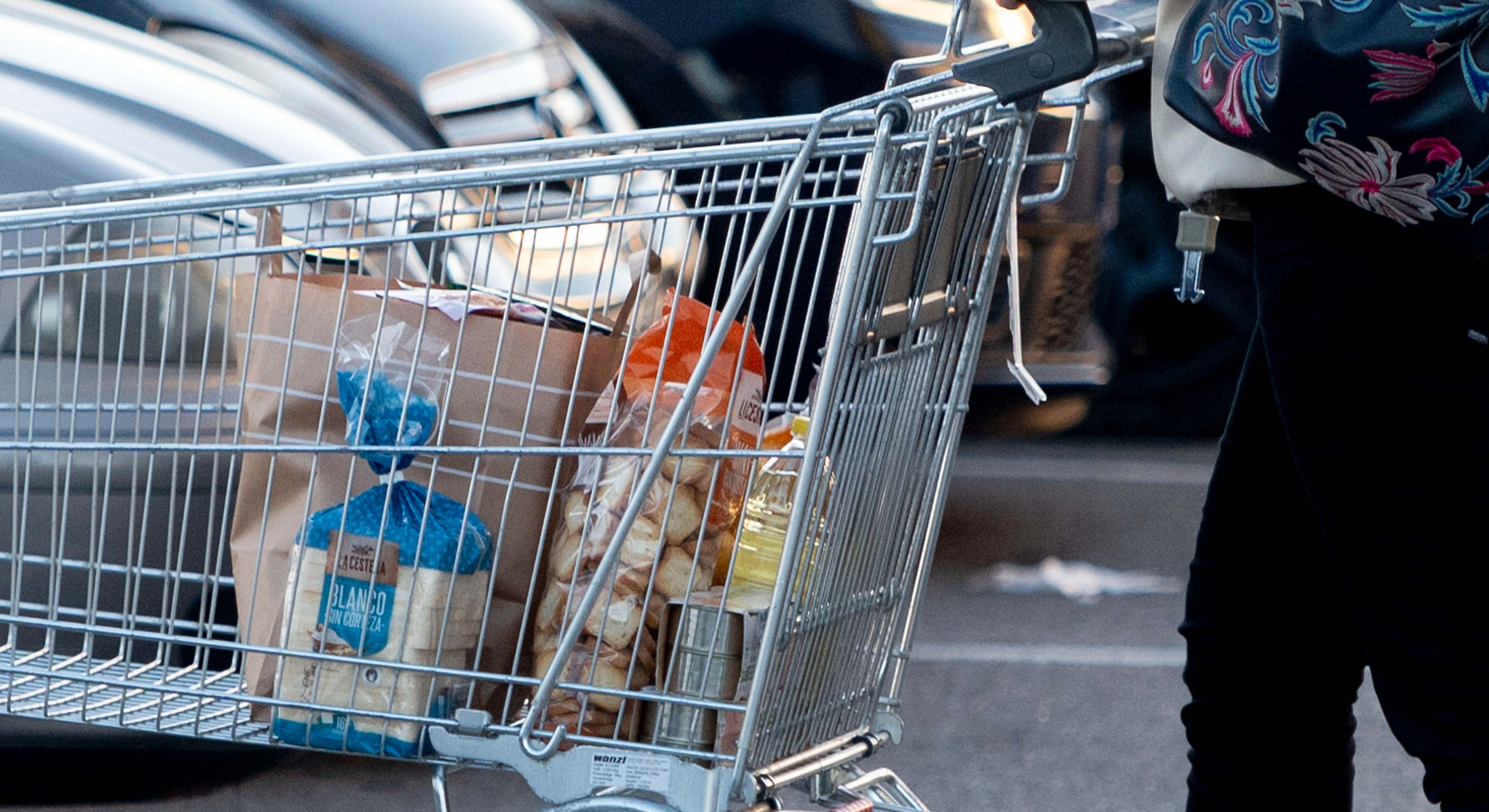 Carro de la compra 