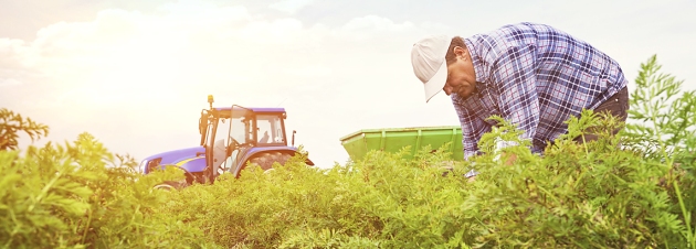 agricultor-istock.jpg