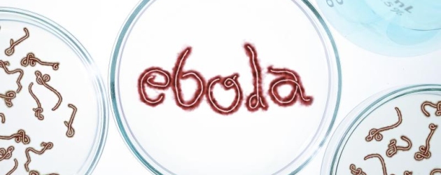 ebola-istock.jpg