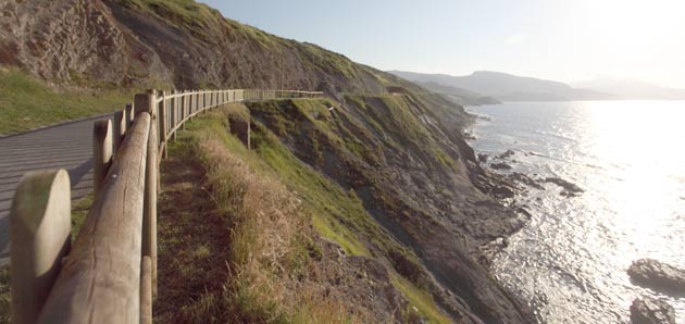 Camino de Santiago