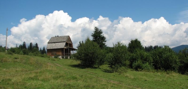 campo.jpg
