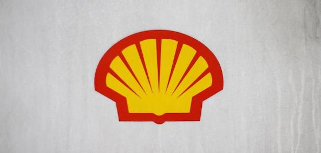 shell1.jpg