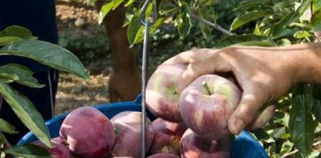agroalimentacion