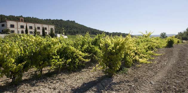 Matarromera