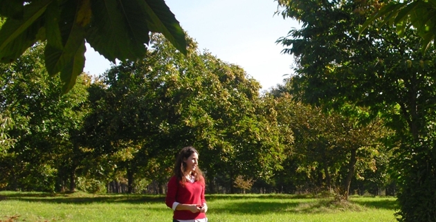 castanera.jpg