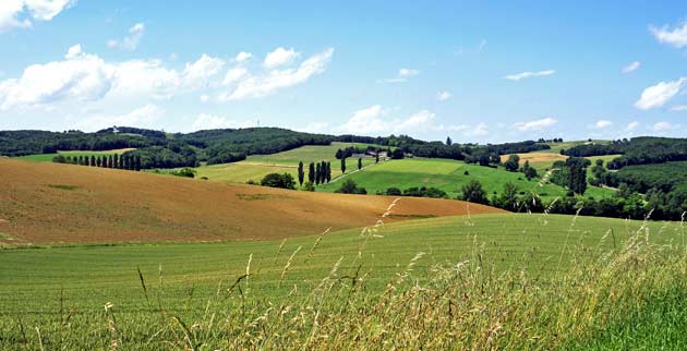 Francia