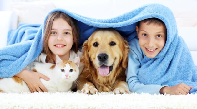 perro-gato-getty.jpg