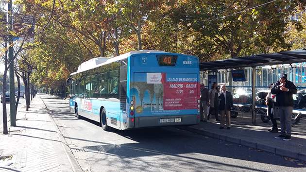 bus1.jpg