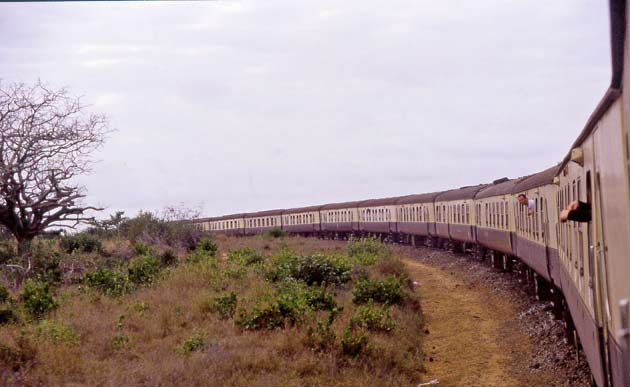 tren lunático