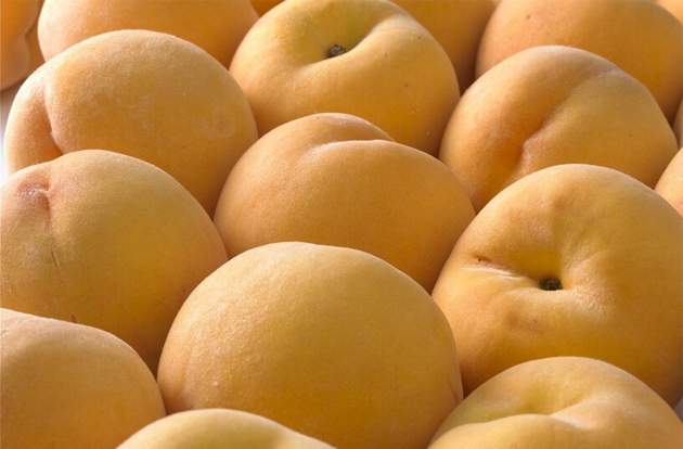 frutaaragon