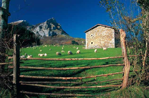 Casa Rural Kaardel