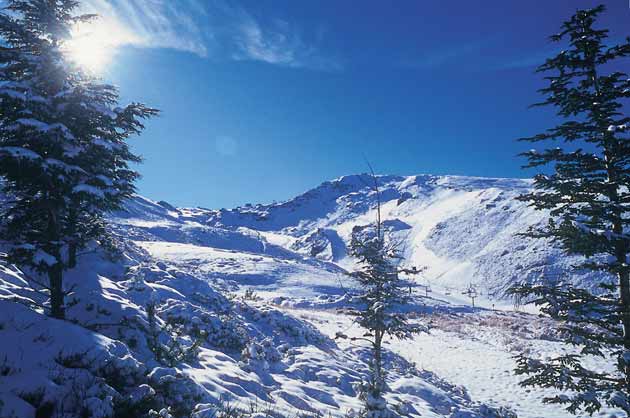 sierra nevada 