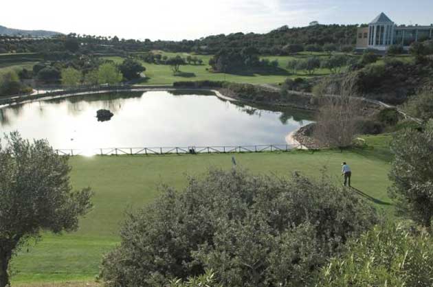 Campo golf
