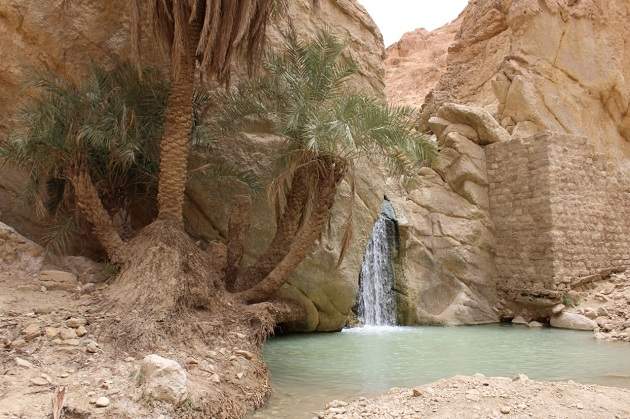 Oasis-Chebika.jpg