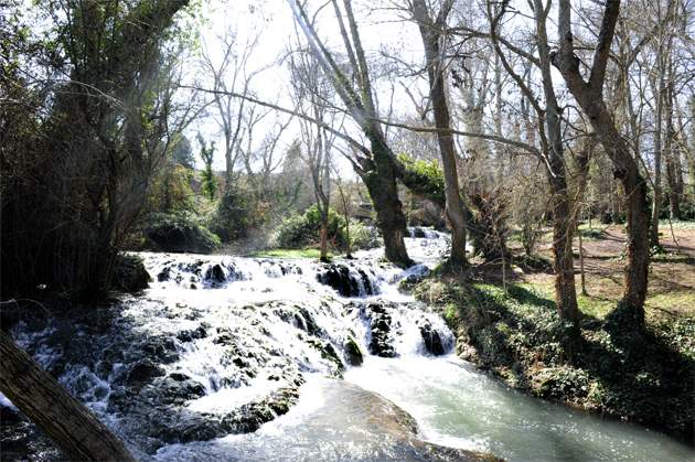 citaalmendro