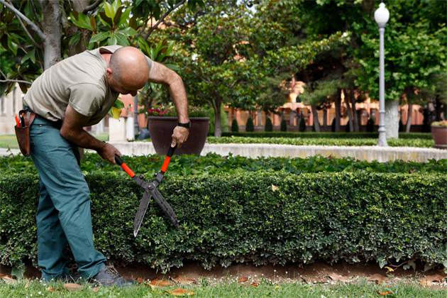 economiaempleo