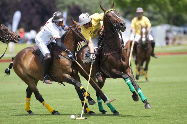 polo