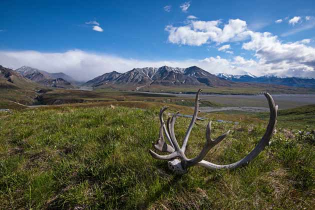 Alaska