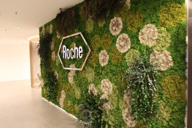 roche.jpg