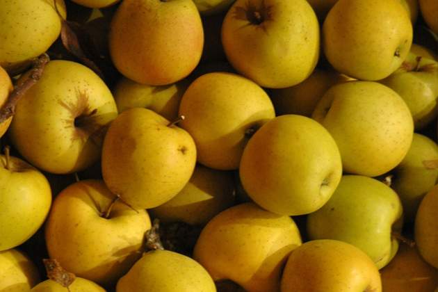 fruta