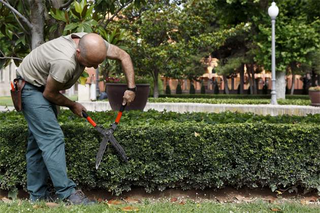 empleo