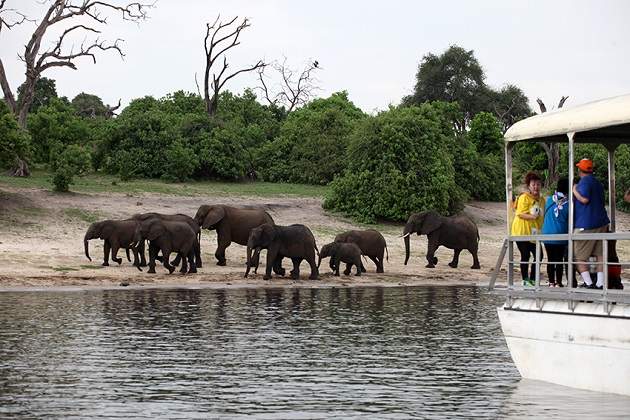Botswana_7426-low.jpg