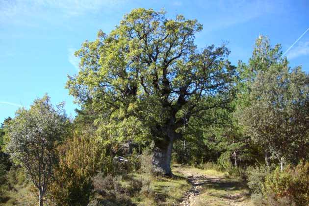 Sierra de San Miguel