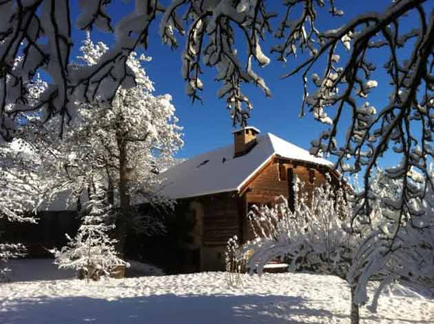 nieve