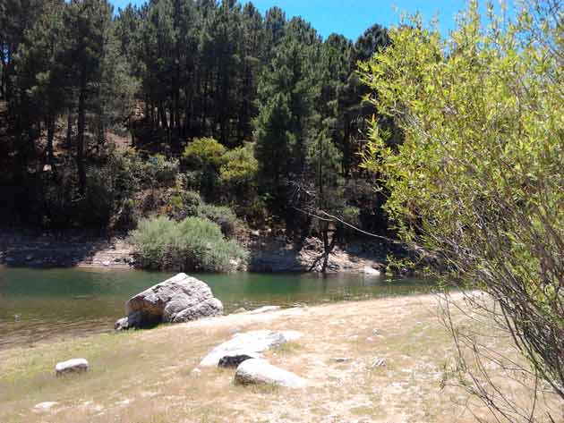 Naturaleza