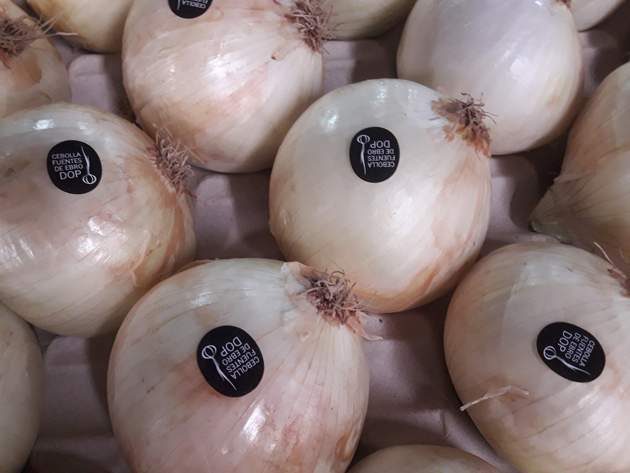 cebollas