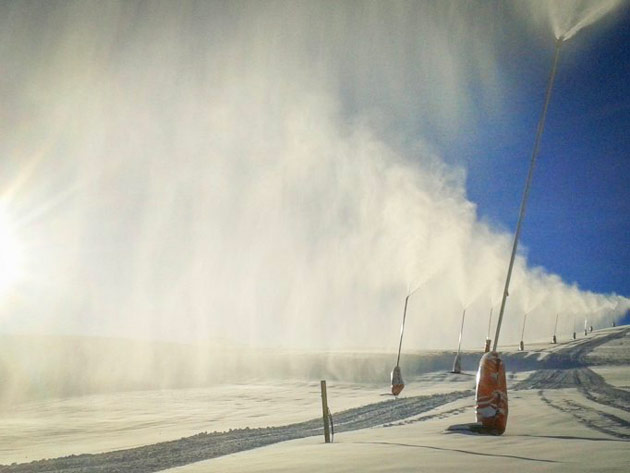 nieve
