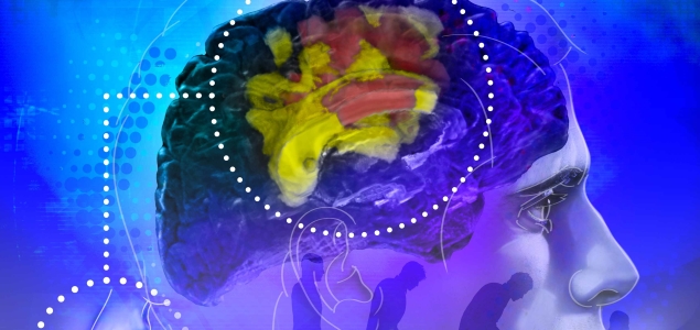 cerebro-salud.jpg