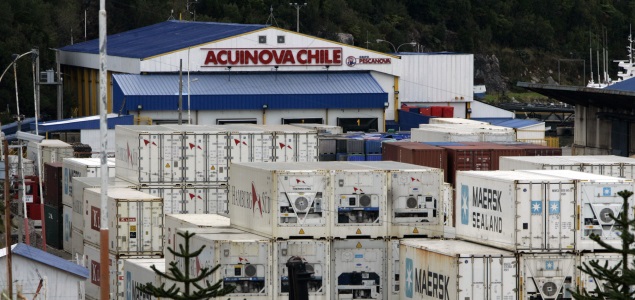 acuinovachile.jpg