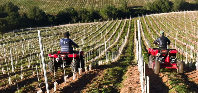635x300agricultura.jpg