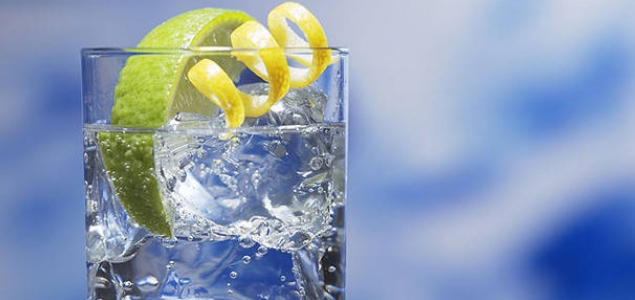 gin-tonic-efe.jpg