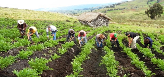 agricultores635.jpg