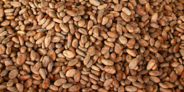 semillas-cacao.jpg
