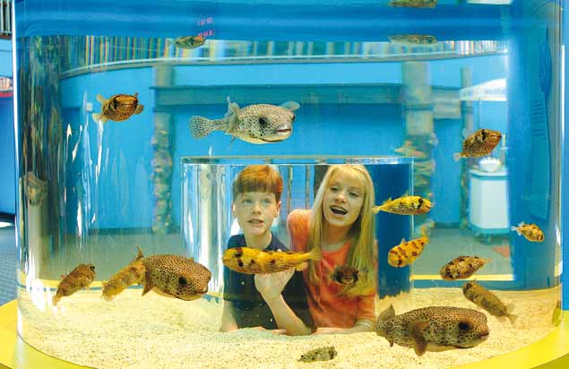 acuario