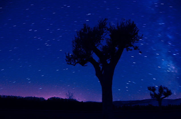 estrellas