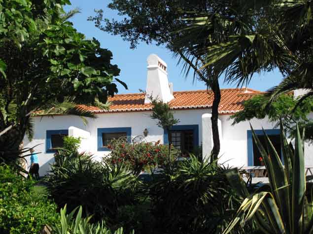 Horta da Moura exterior vegetacion
