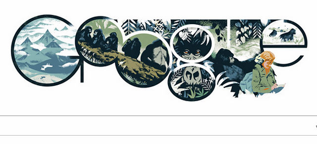 doodle-Fossey.jpg